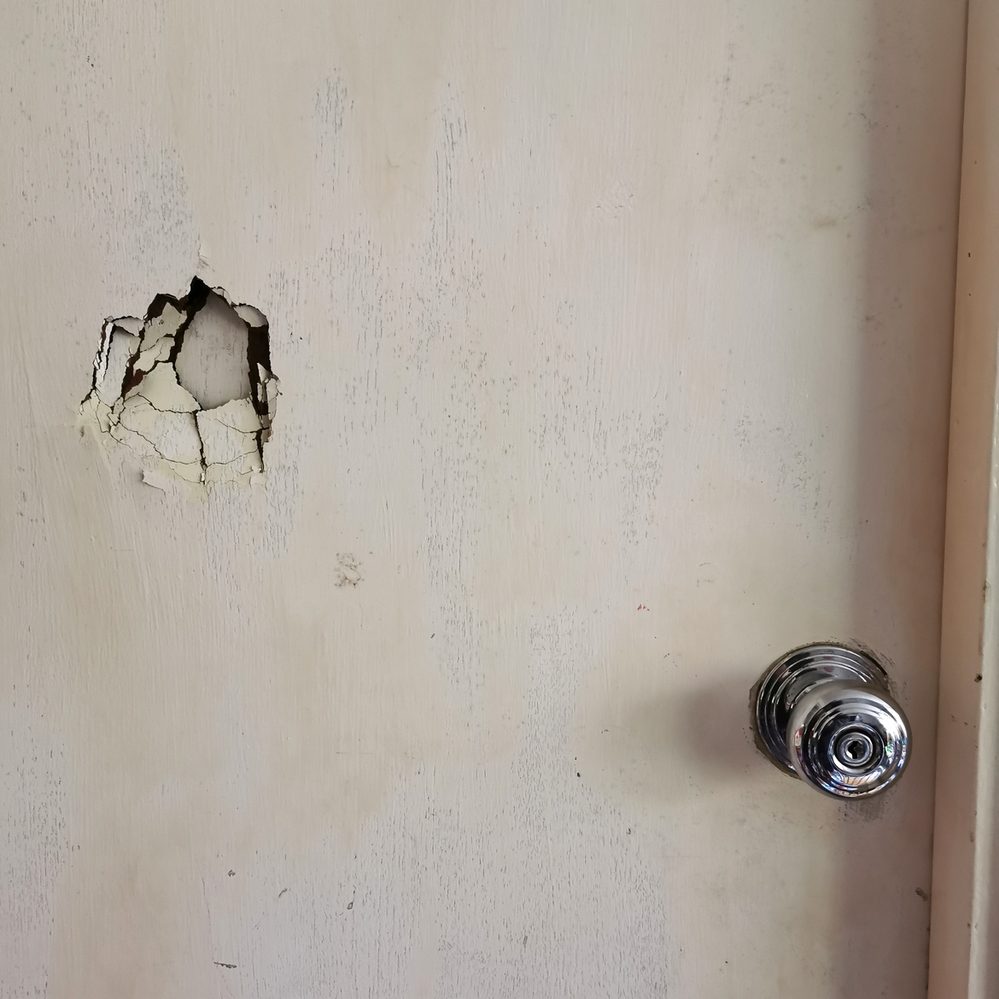 1.1 Damage to door.png