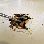 2.1 Removing damaged outer skin.png