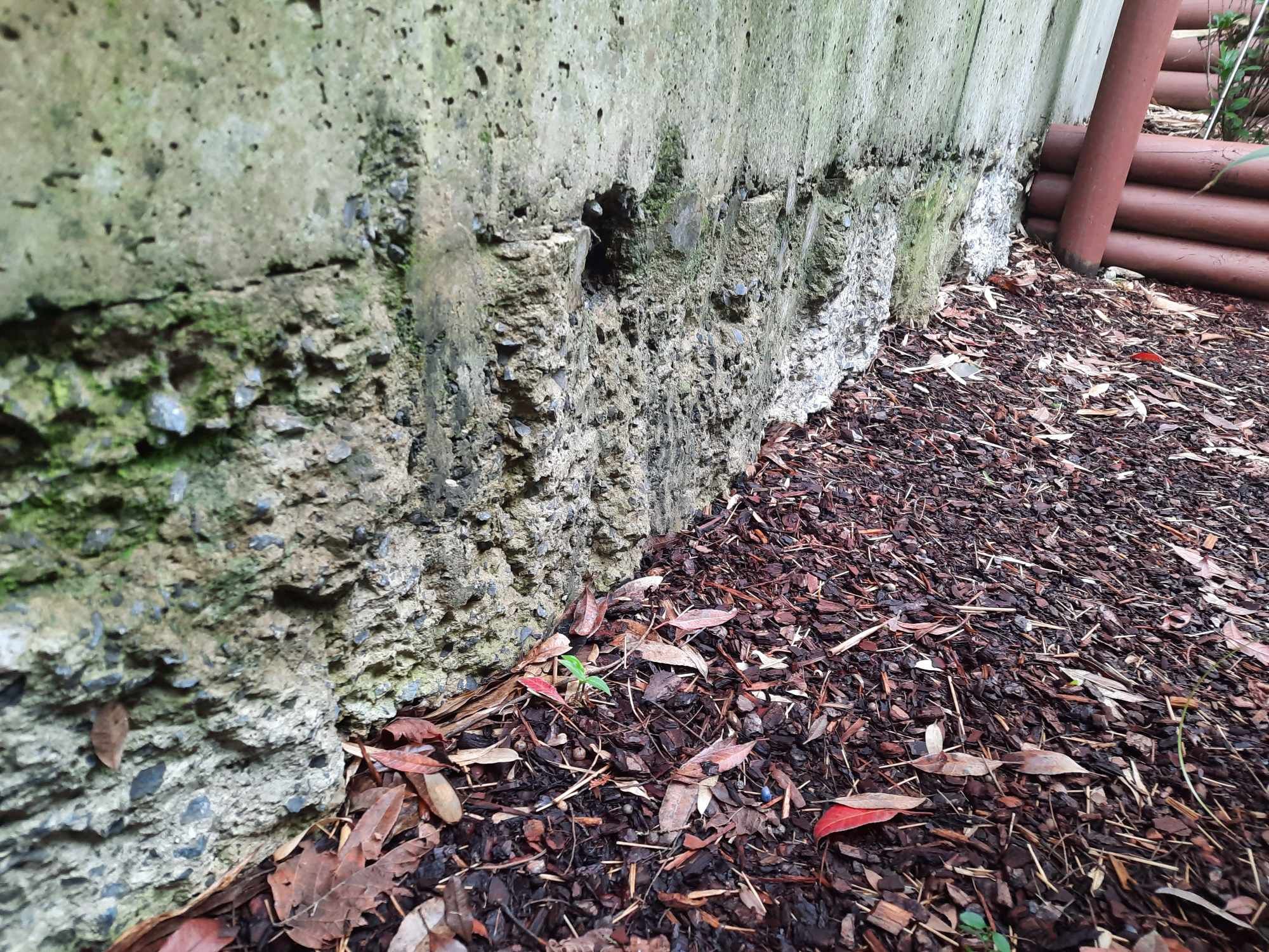 How to fill concrete holes before applyi... Bunnings community