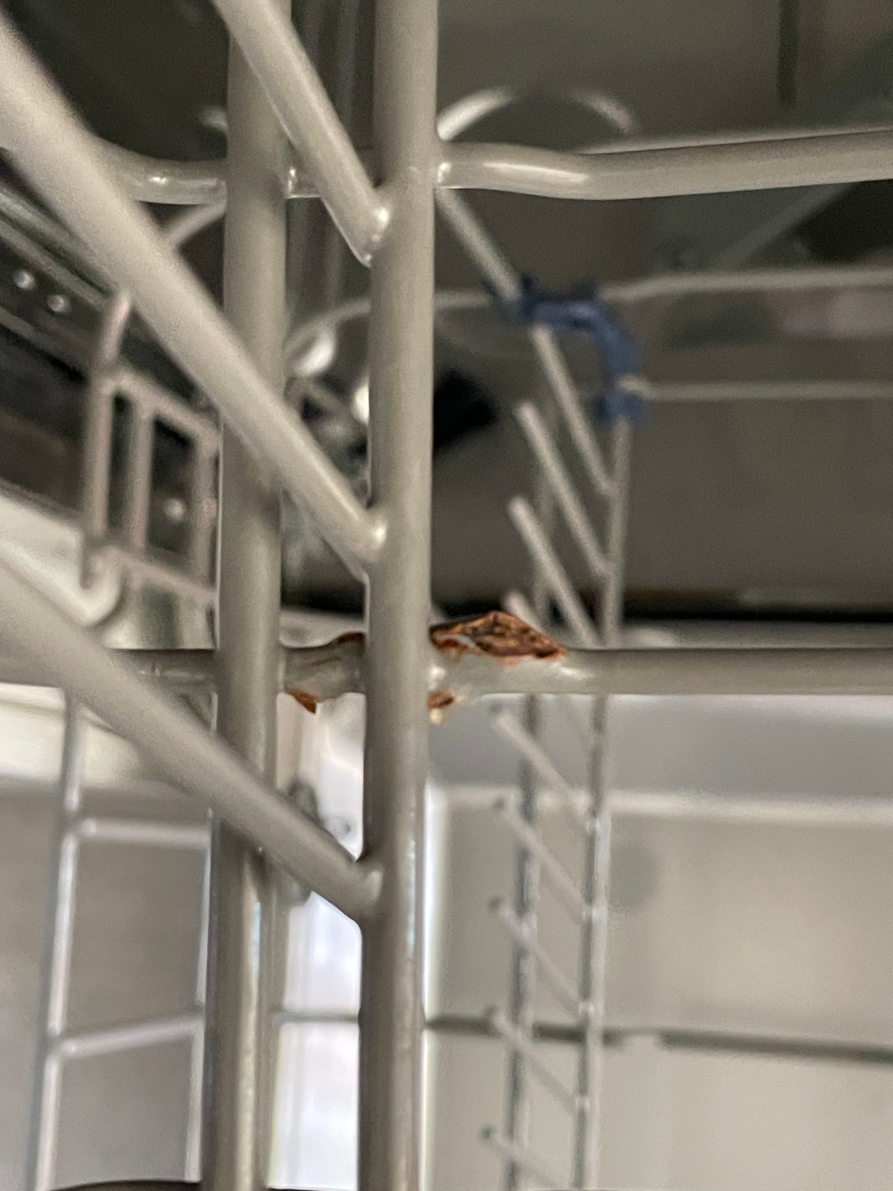 How to remove dishwasher rack rust? Bunnings community