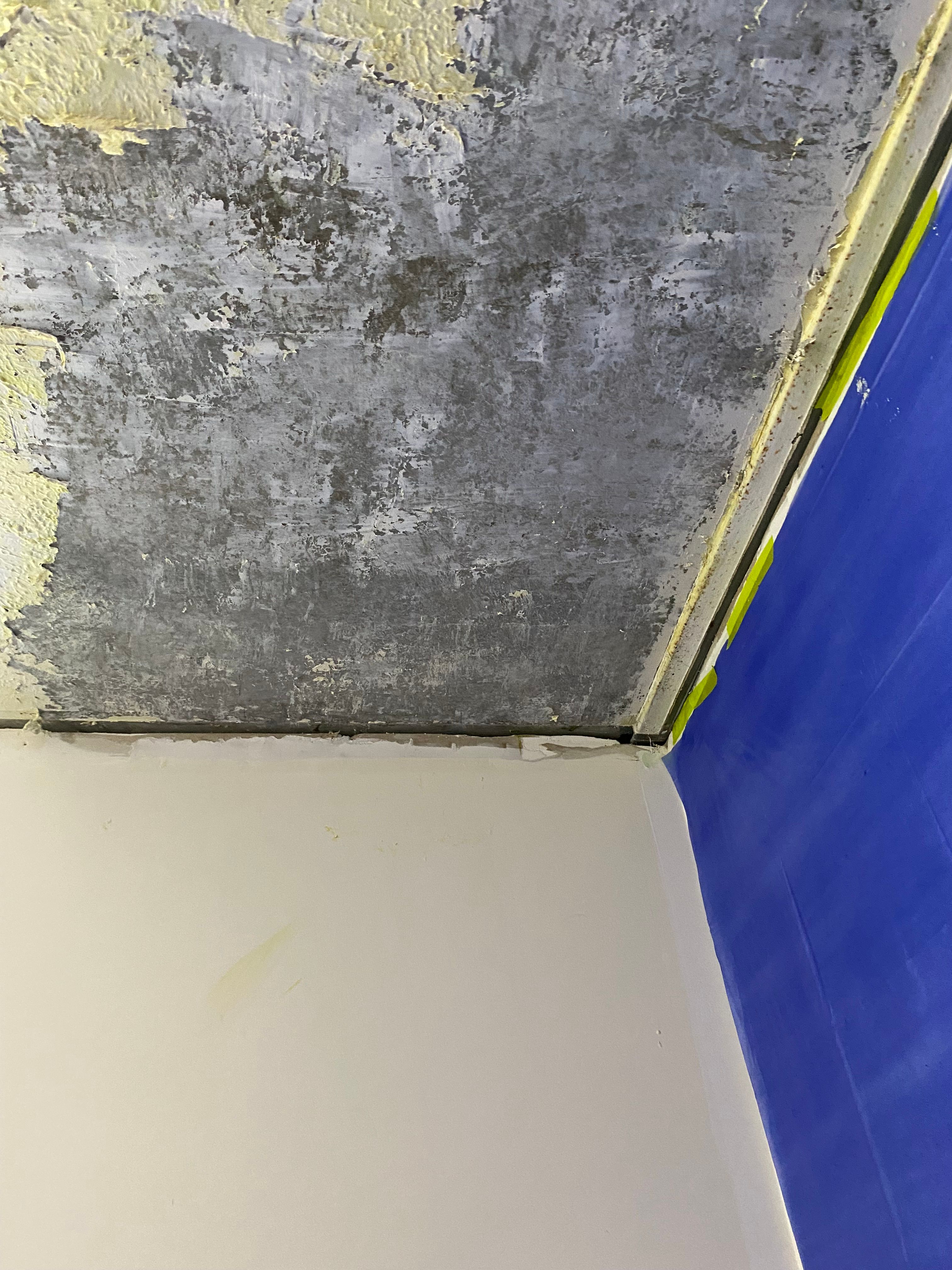 How to remove stippled ceiling paint? Bunnings community