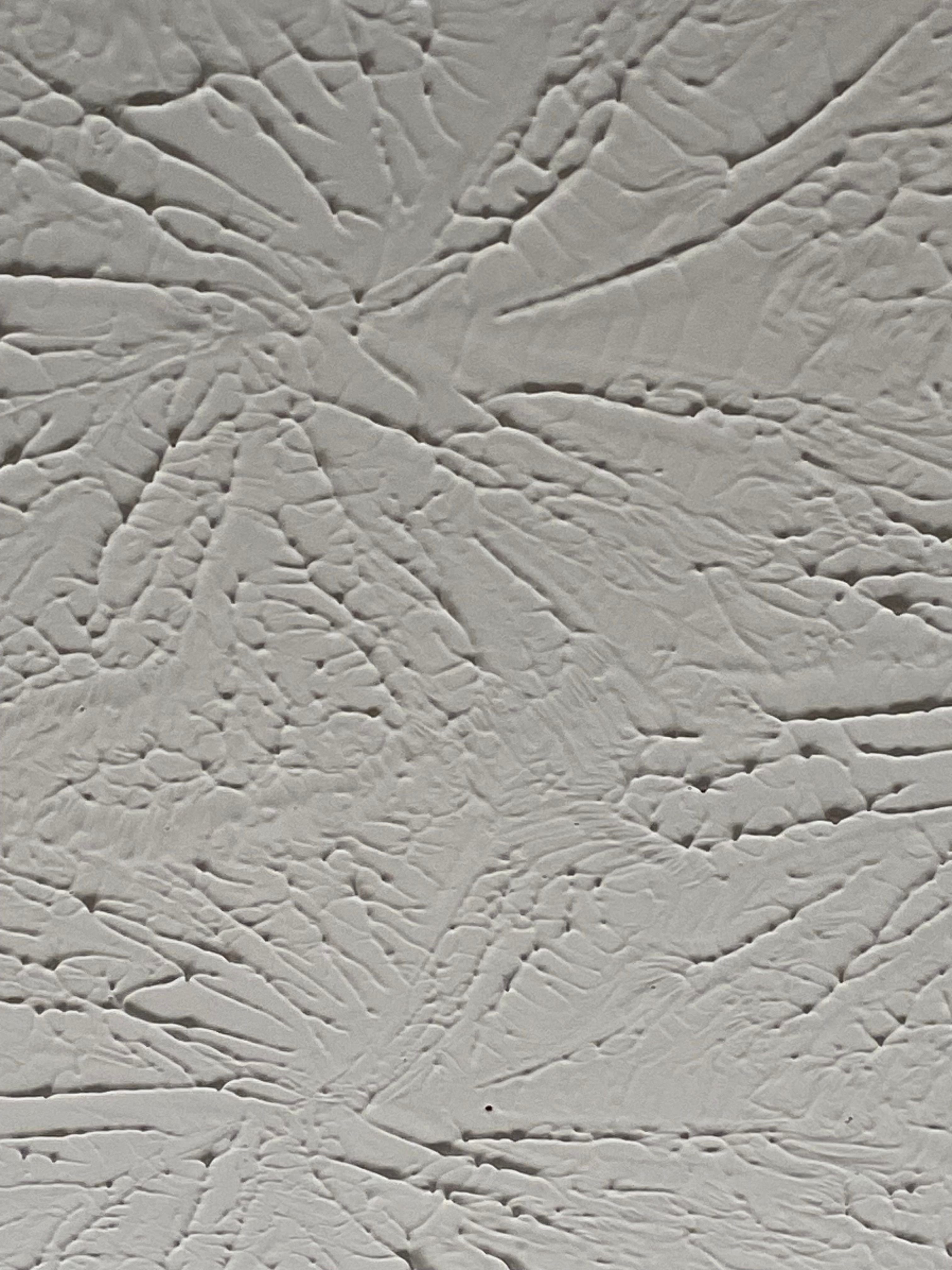 How to remove stippled ceiling paint? Bunnings community