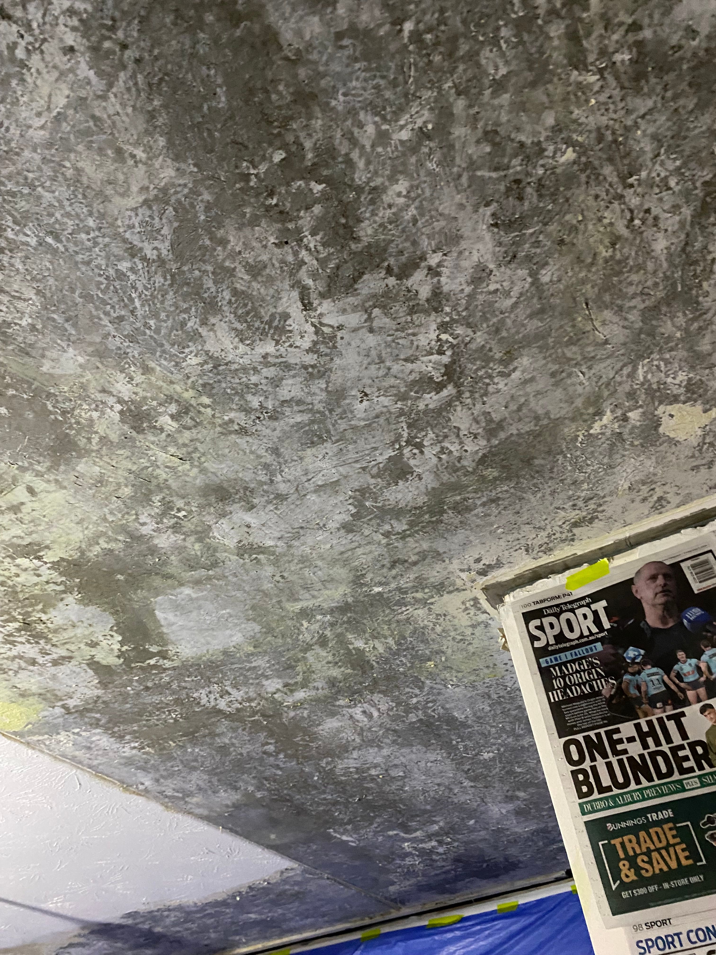 How to remove stippled ceiling paint? Bunnings community