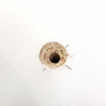 2.4 Hole ready for screw.png