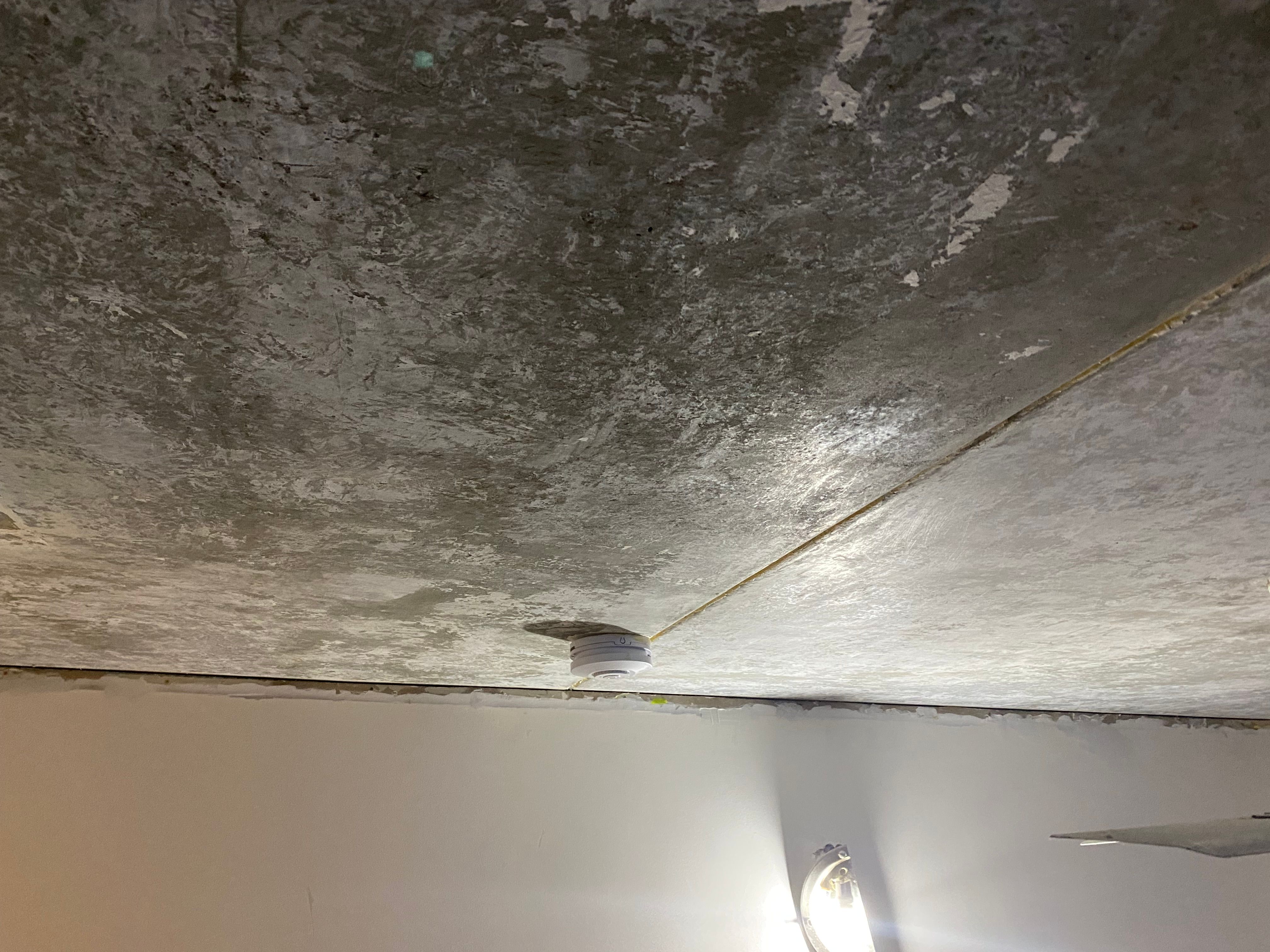 How to remove stippled ceiling paint? Bunnings community