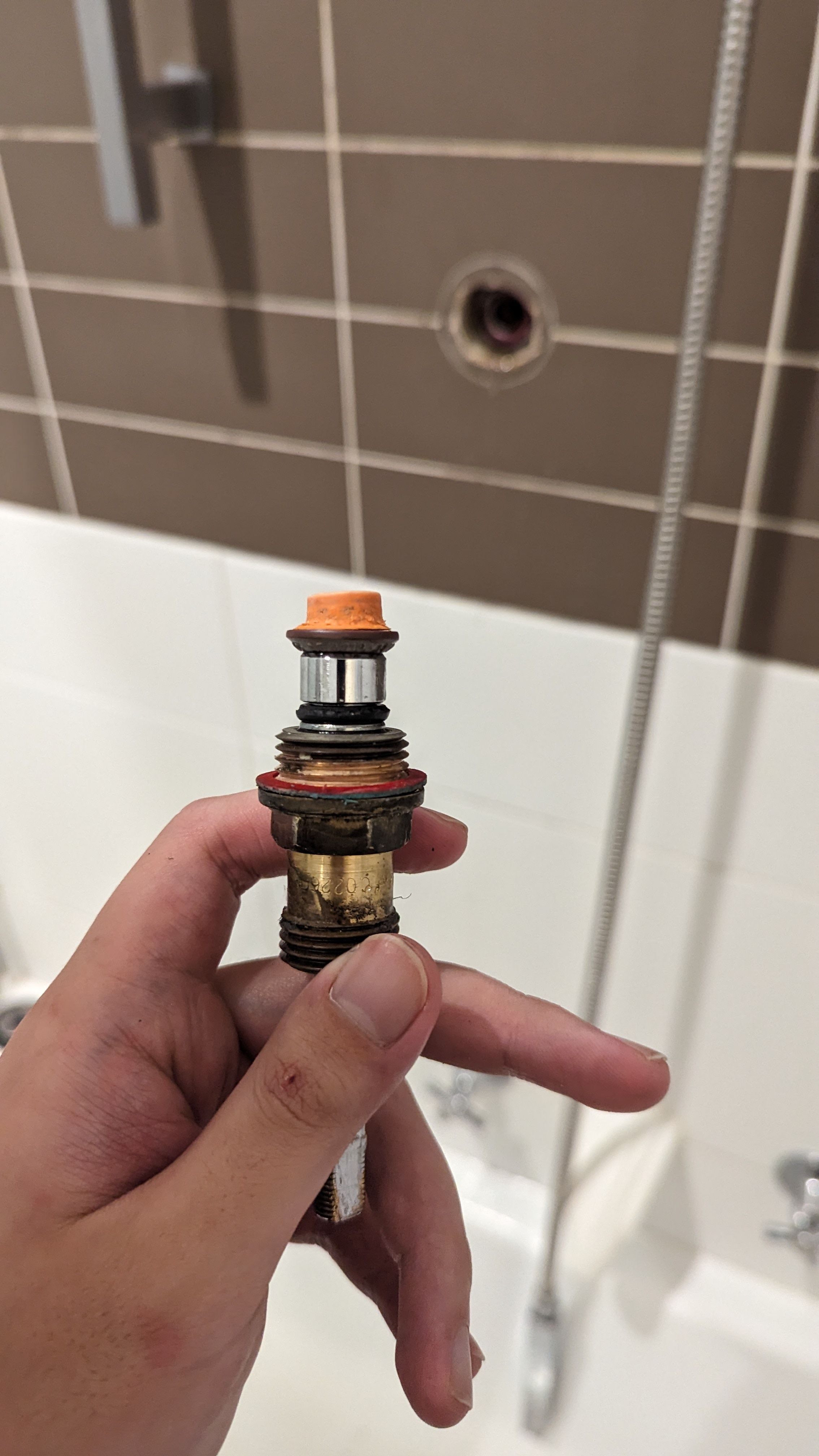 Solved No hot water coming out of shower but ho... Bunnings