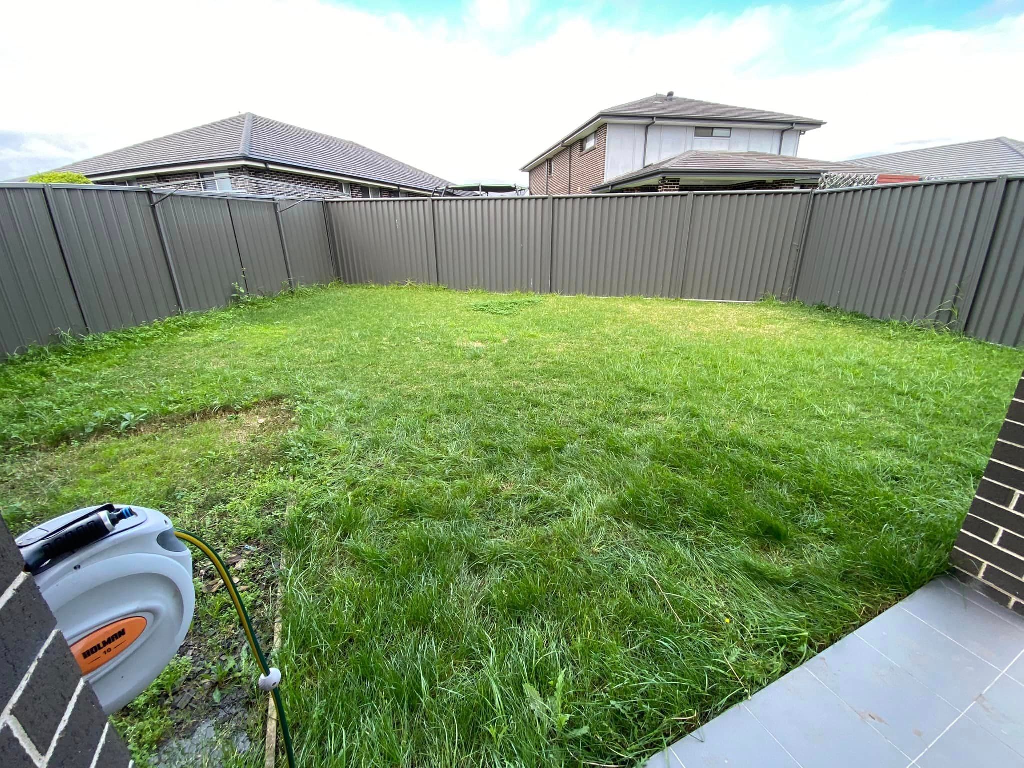 How to remove weeds from Kikuyu lawn? Bunnings community