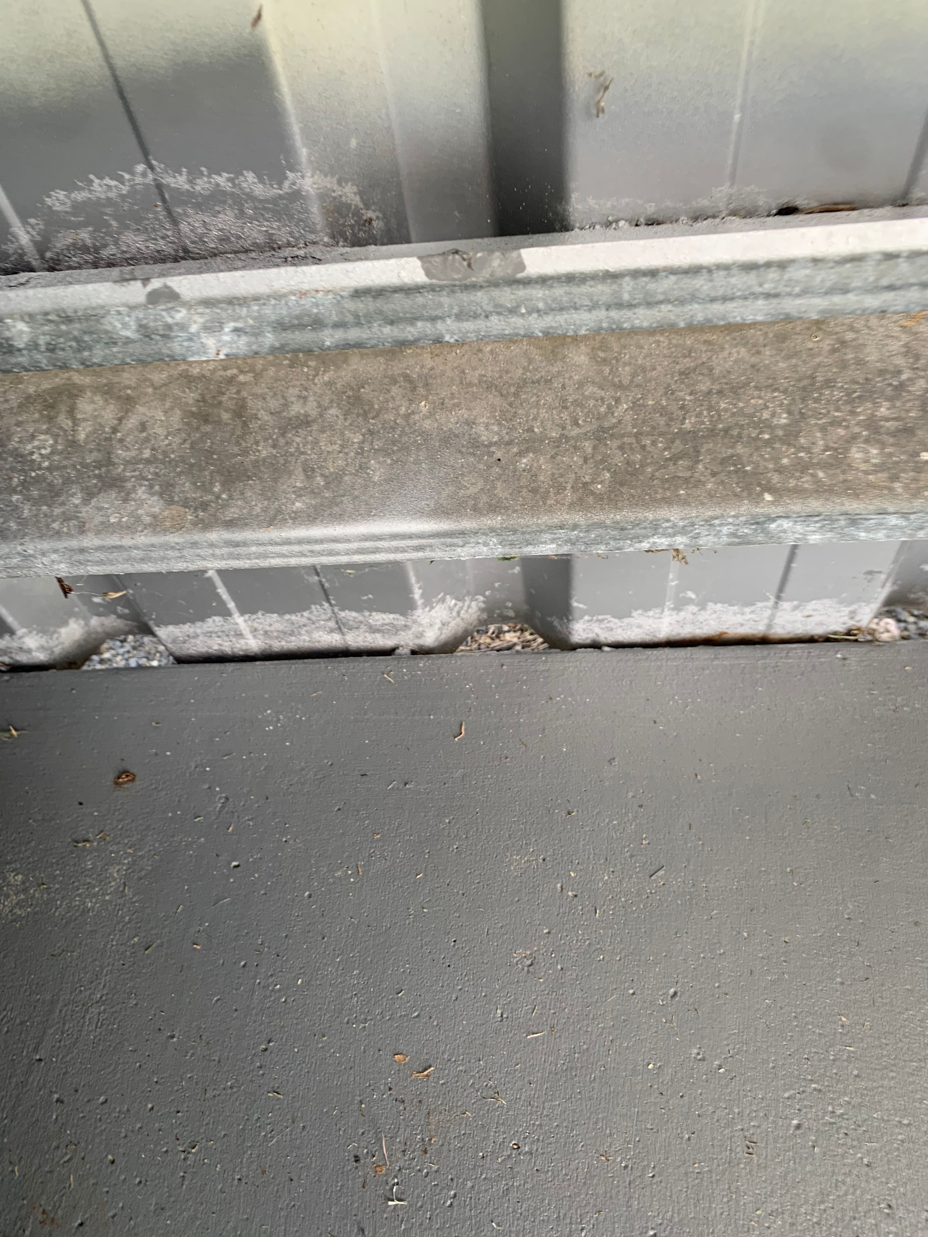 How to seal shed floor? Bunnings community