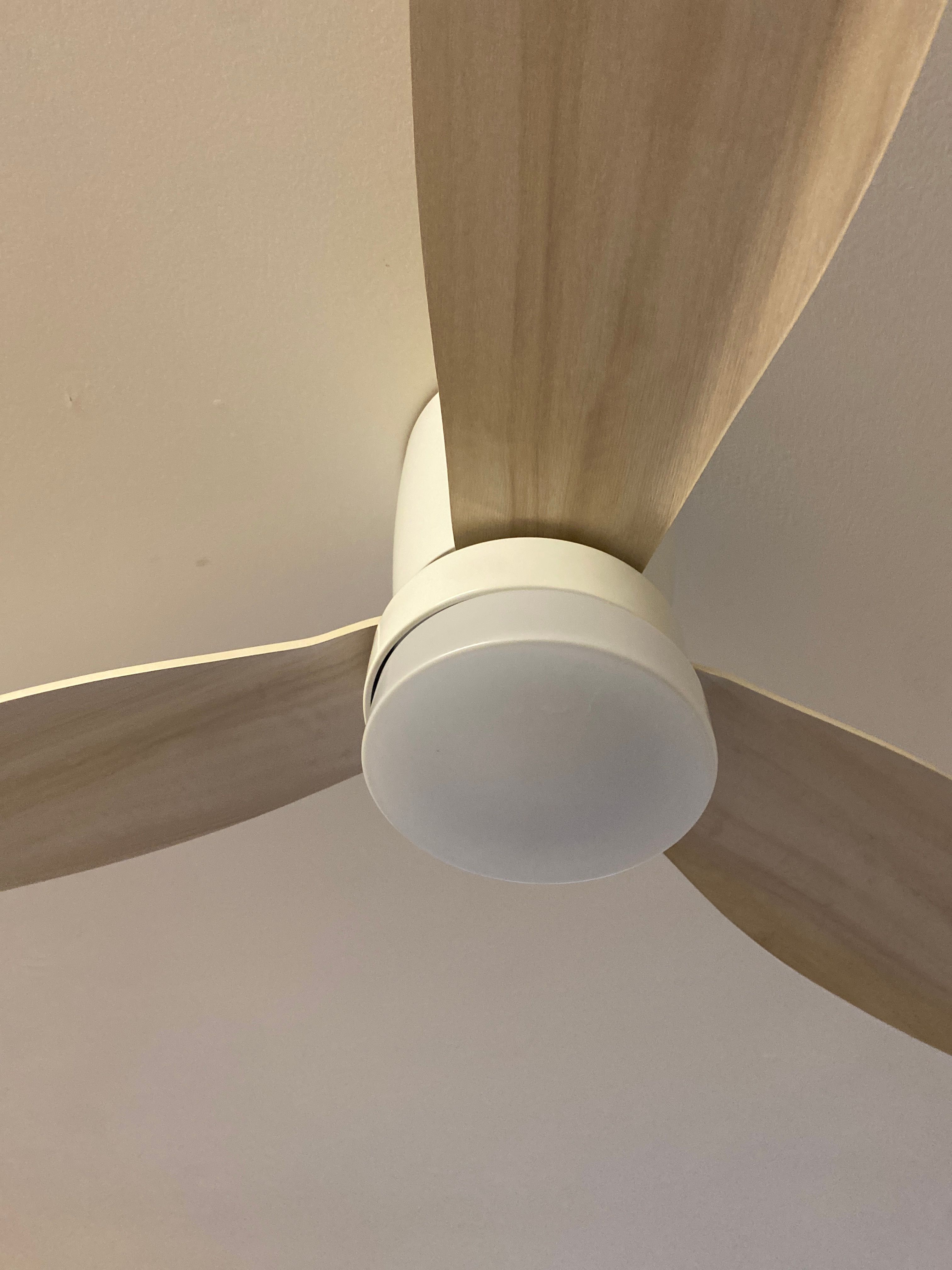 How to replace light cover on ceiling fa... Bunnings community
