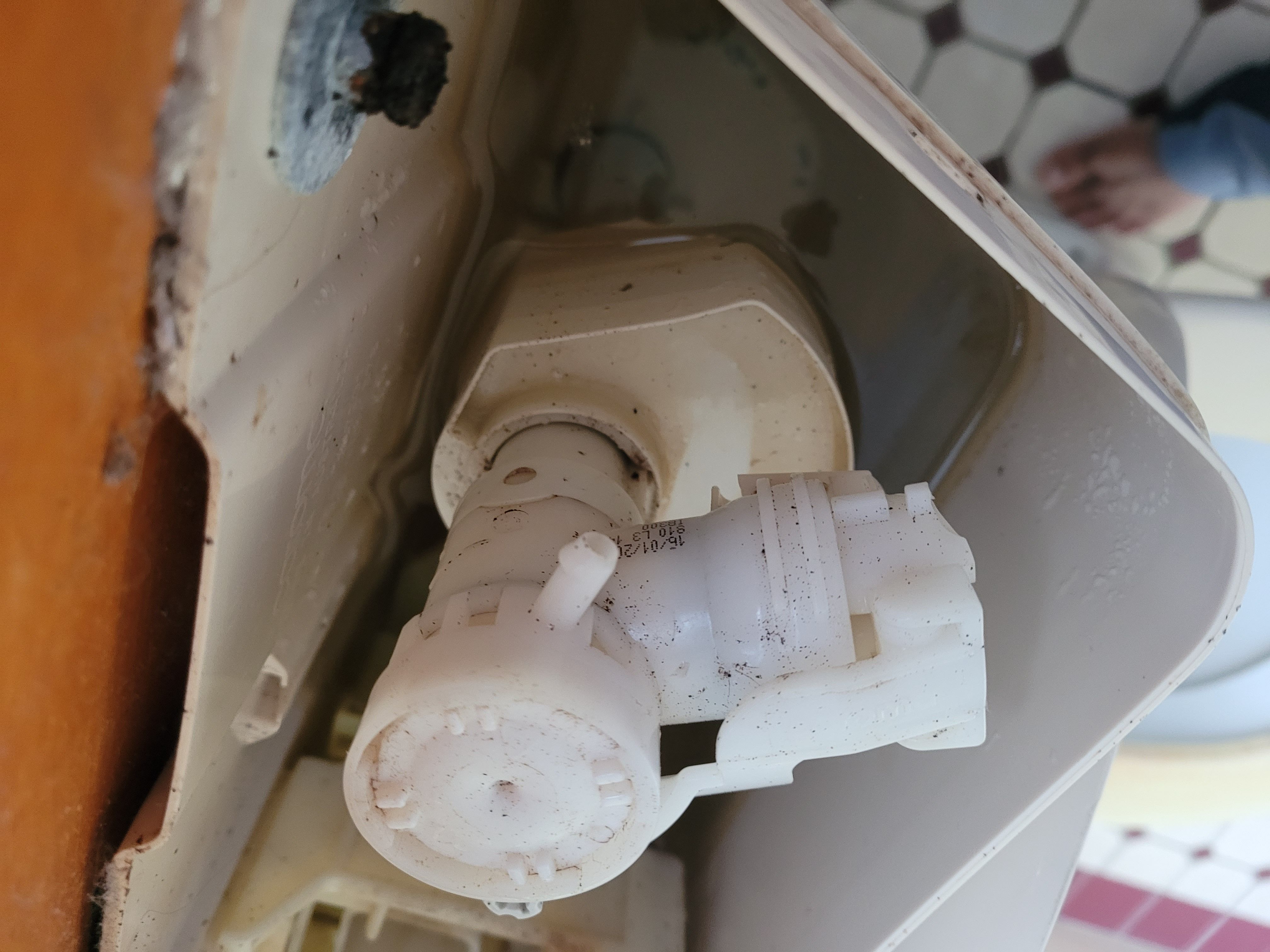 Solved How to fix leaking Caroma cistern? Bunnings community