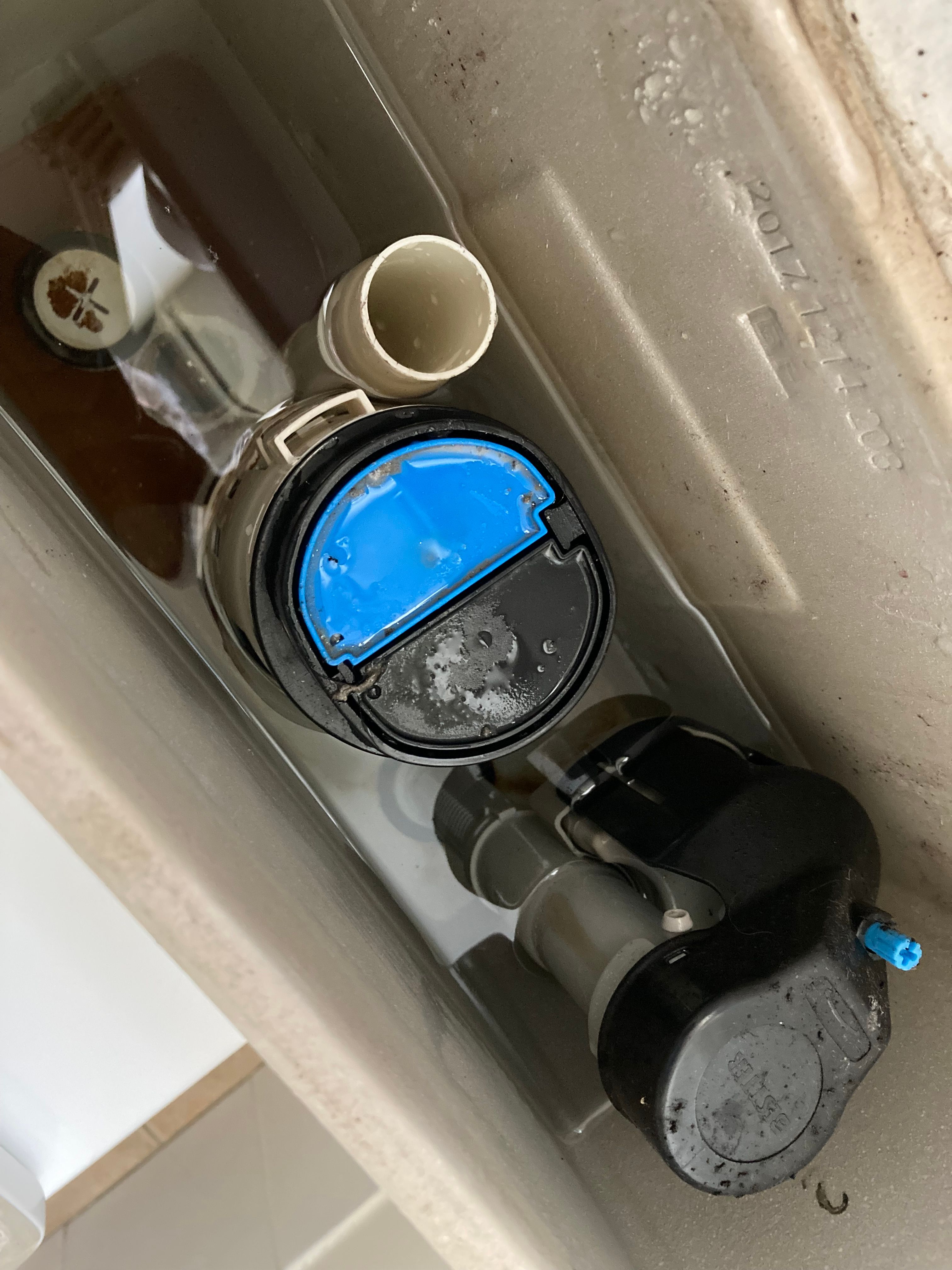 How to remove toilet flushing valve? Bunnings community