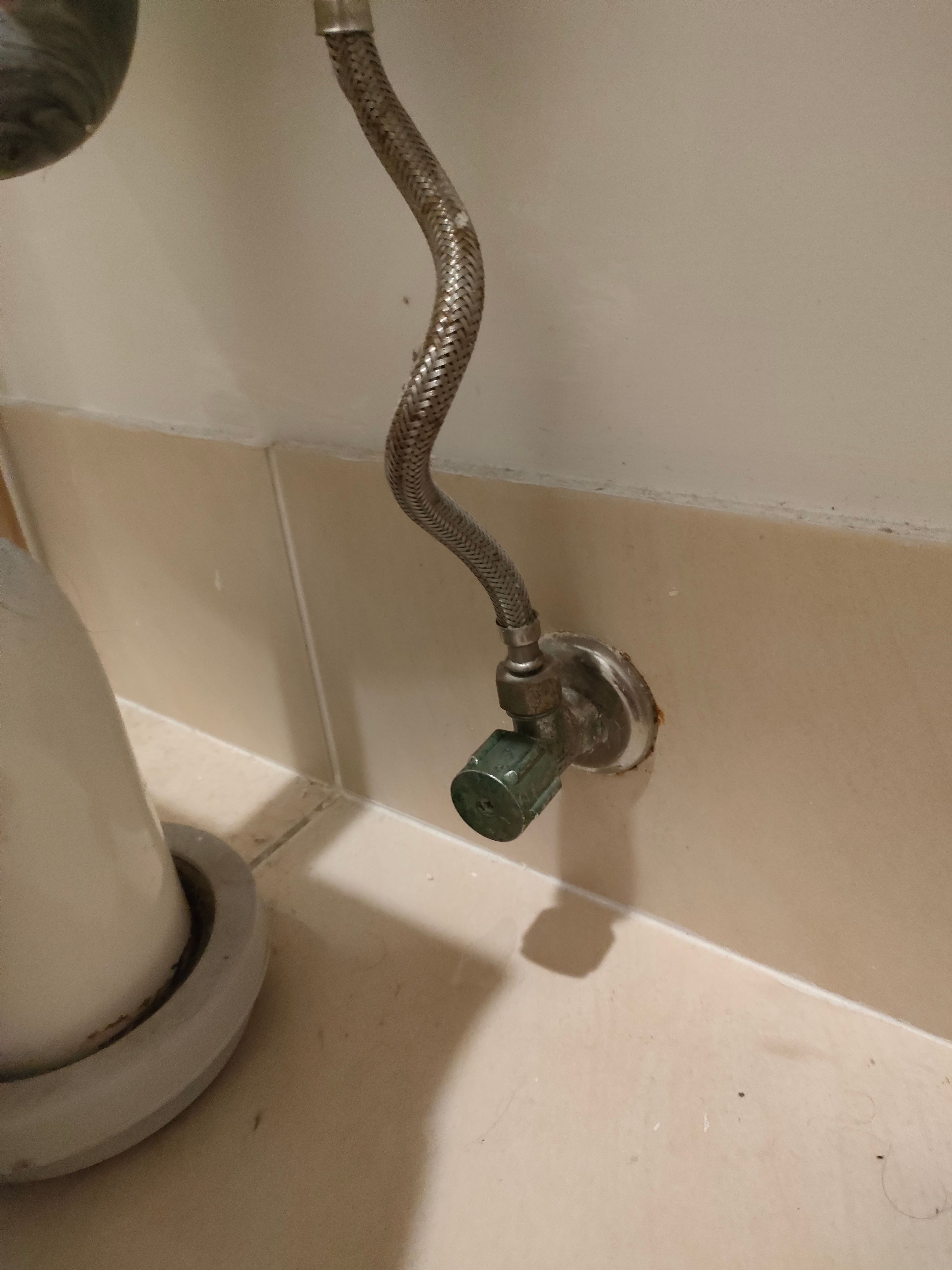 How to fix dripping toilet cistern tap? Bunnings community