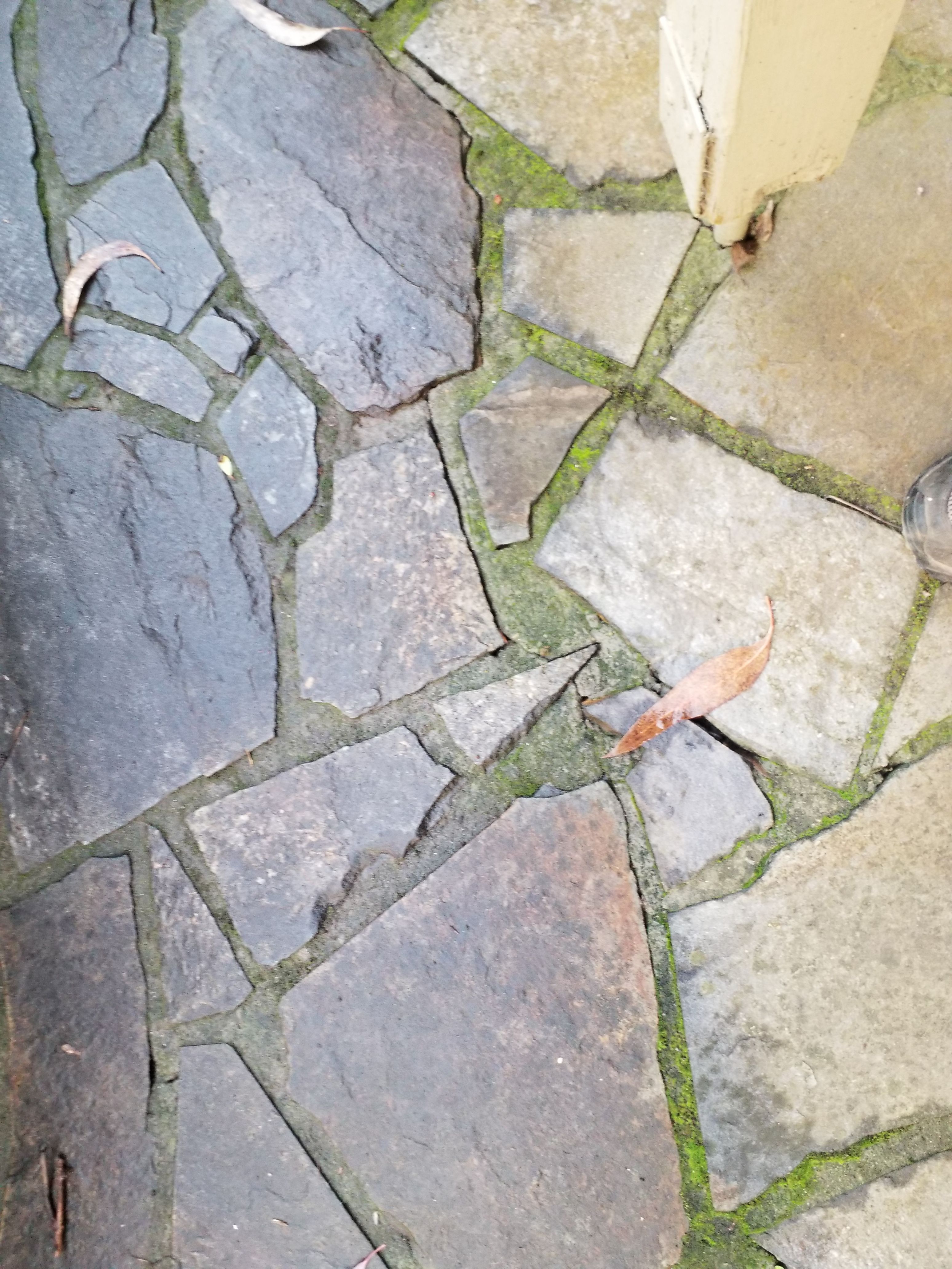 How to fix slate crazy paving cracks? Bunnings community